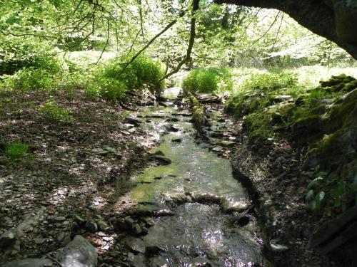 28.-Downstream-from-join-with-Treborough-Headwaters-2