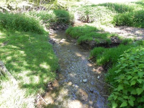 28.-Downstream-from-join-with-Treborough-Headwaters