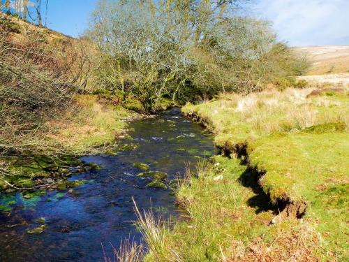 28.-Flowing-below-Furzehill-Common-2