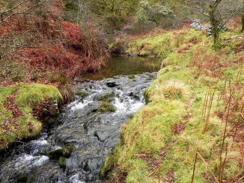 28.-Flowing-below-Mill-Hill-2