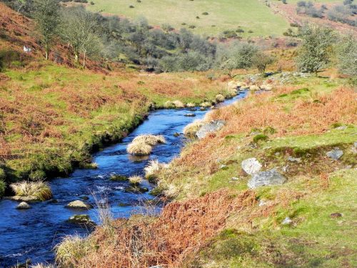 28.-Flowing-below-Stowey-Ridge-2
