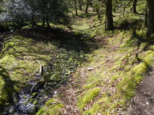 28.-Flowing-through-Bromham-Wood