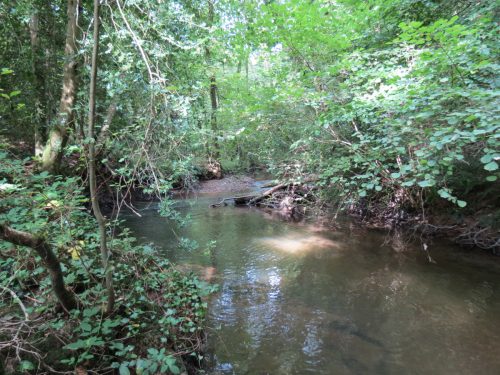 28.-Flowing-through-Clover-Close-Copse