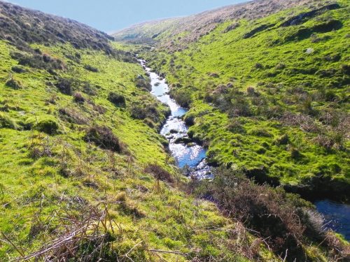 28.-Flowing-through-Madacombe-3