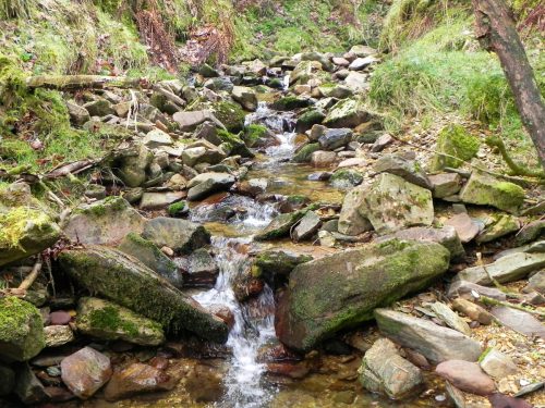 28.-Flowing-through-Mansley-Combe-2