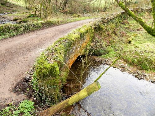 28.-Ford-Farm-Bridge-downstream-arch-2