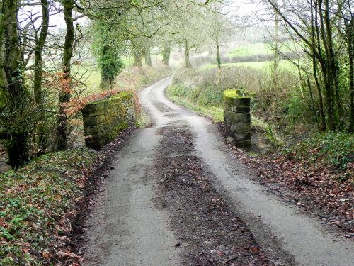 28.-Haynemoor-Wood-Bridge-2