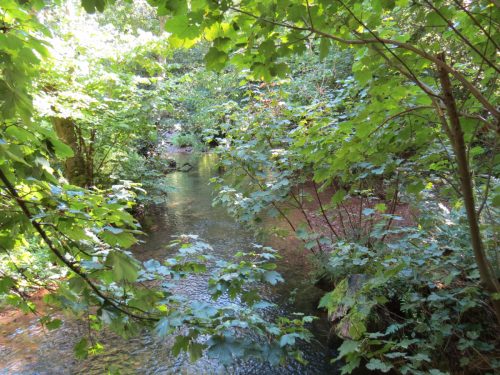 28.-Looking-downstream-from-Riverside-Footbridge