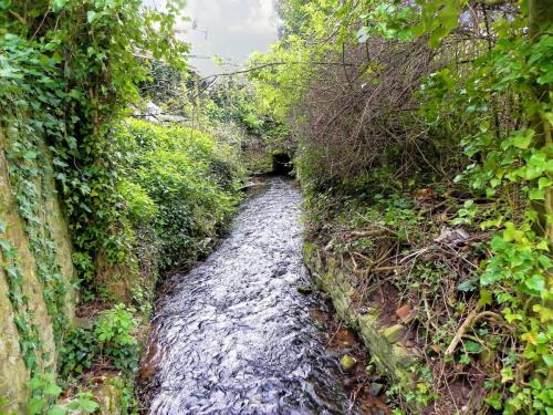 28.-Looking-downstream-to-Culvert-inlet-3