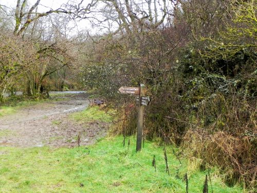 28.-Near-Lea-Wood-2