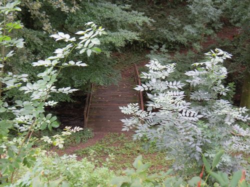28.-Skidale-Accommodation-Bridge