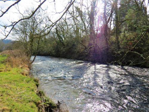 28.-Upstream-from-Besey-Weir-1