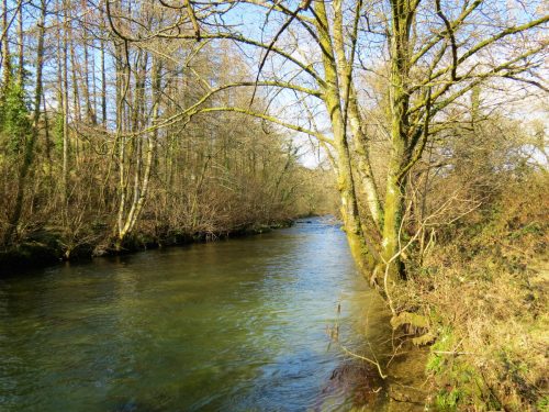 28.-Upstream-from-Besey-Weir-2