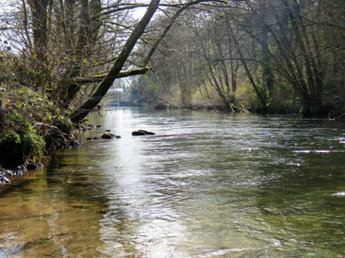 28.-Upstream-from-Besey-Weir-3