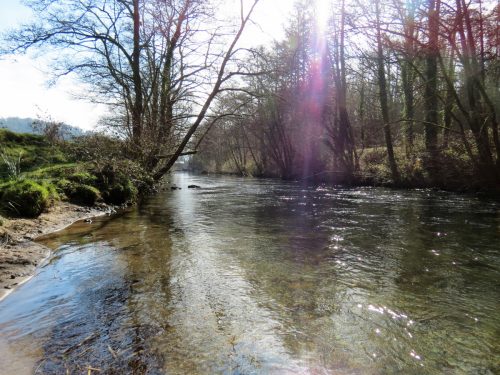 28.-Upstream-from-Besey-Weir-4