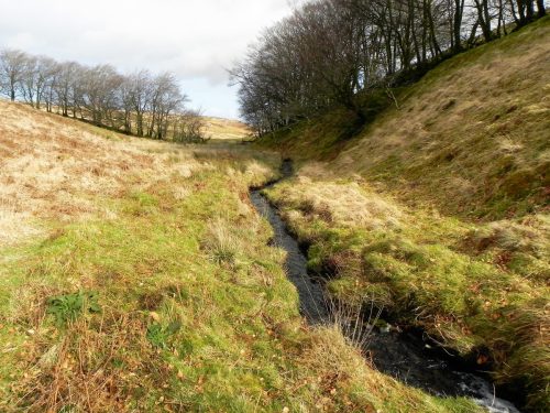 28.-Upstream-from-Chetsford-Bridge-2