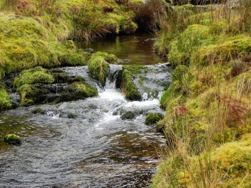 28.-Upstream-from-Colley-Water-2