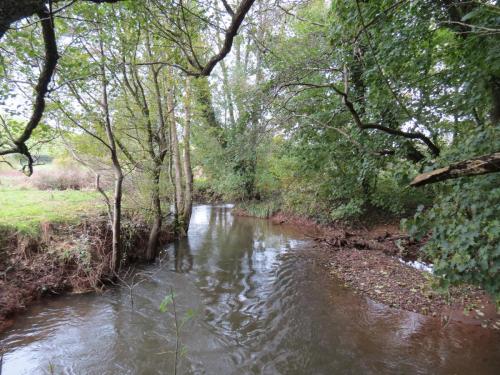 28.-Upstream-from-Harpford-3