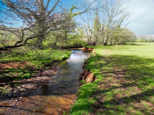 28.-Upstream-from-Holnicote-House-Footbridge-2