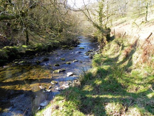 28.-Upstream-from-Shircombe-Rocks-2