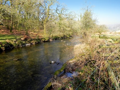 28.-Upstream-from-Two-Waters-2