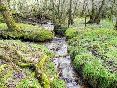 28.-Waters-join-from-Ash-Combe-2