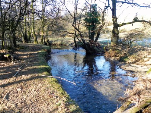 28a.-Downstream-from-Luckwell-Bridge-2