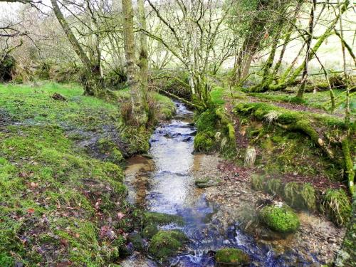29.-Downstream-from-Ash-Combe-2