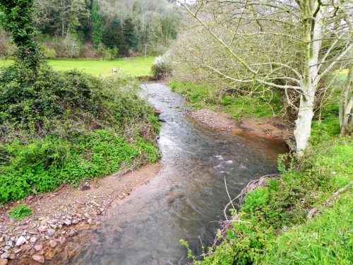29.-Downstream-from-Frackford-Bridge-2