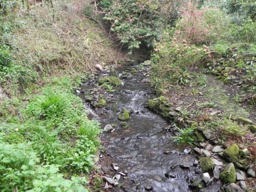 29.-Downstream-from-Hawkcombe-Bridge