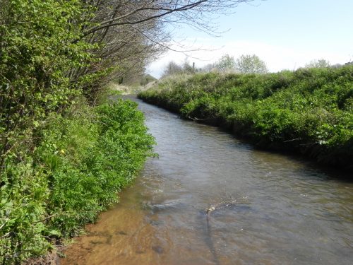 29.-Downstream-from-Kentsford-Farm