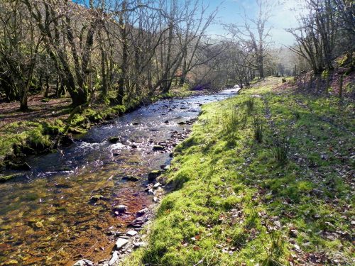 29.-Downstream-from-Lyncombe-Bridge-2