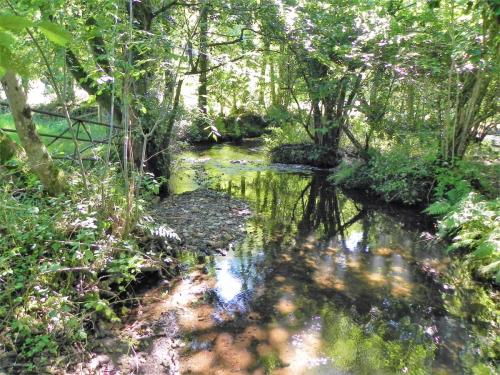 29.-Downstream-from-Perry-Copse-Tributary-Stream-join-2