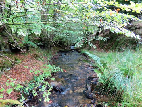 29.-Flowing-below-Beaters-Rocks-2
