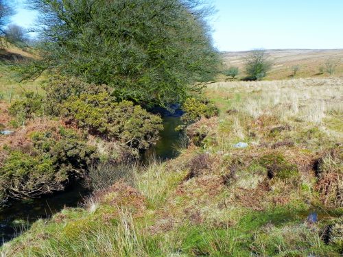 29.-Flowing-below-Furzehill-Common-2