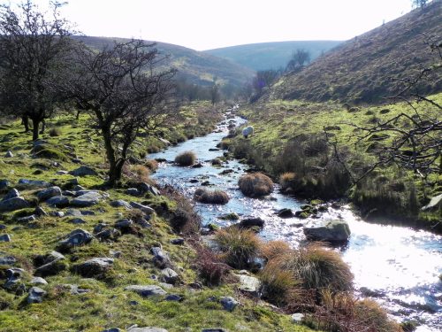 29.-Flowing-below-Stowey-Ridge-2