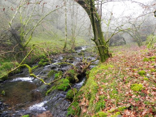 29.-Flowing-past-Sweetworthy-2