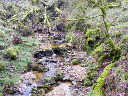 29.-Flowing-through-Mansley-Combe-2