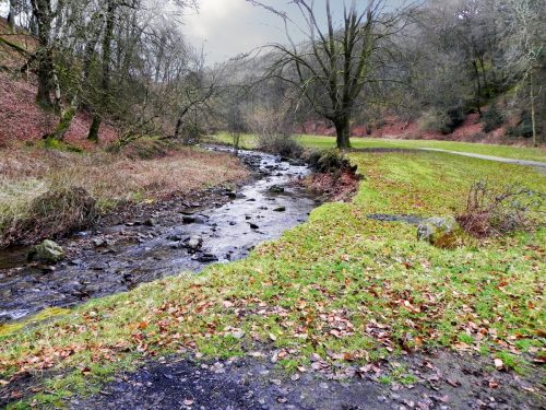 29.-Flowing-through-Pool-Camp-Site-2