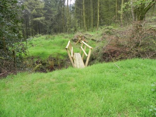 29.-Footbridge-below-Withiel-Hill-headwaters-1