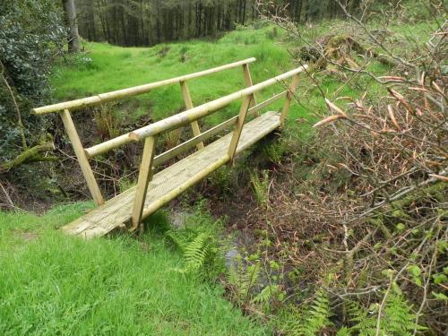 29.-Footbridge-below-Withiel-Hill-headwaters-2