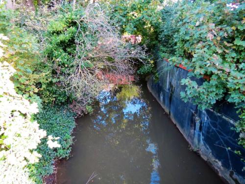 29.-Looking-downstream-from-Castle-Street-Mill-Stream-Bridge-2