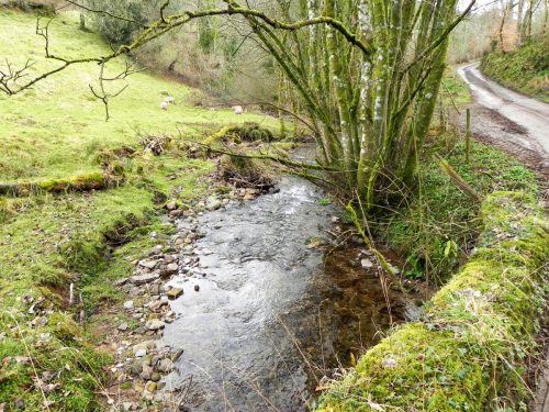 29.-Looking-downstream-from-Ford-Farm-Bridge-2