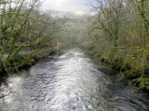 29.-Looking-upstream-from-Great-Wood-Footbridge-2