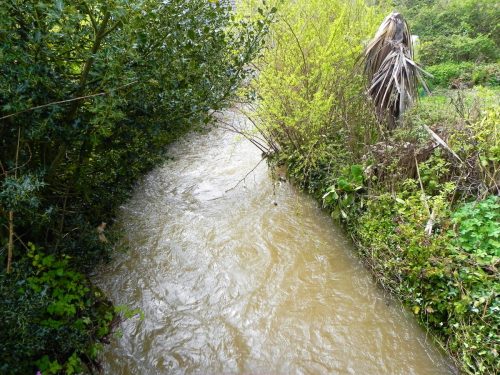29.-Looking-upstream-from-Riverden-Bridge-2