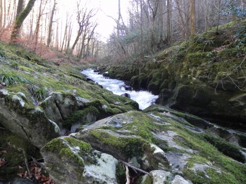 29.-Upstream-from-Ash-Pool