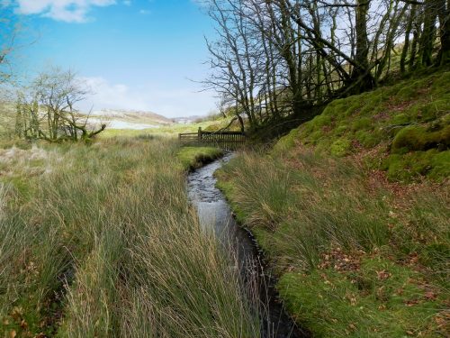 29.-Upstream-from-Chetsford-Bridge-2