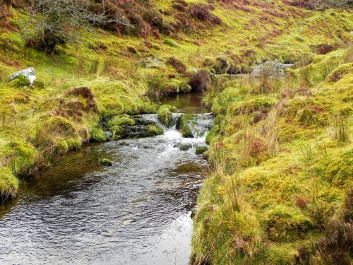 29.-Upstream-from-Colley-Water-2