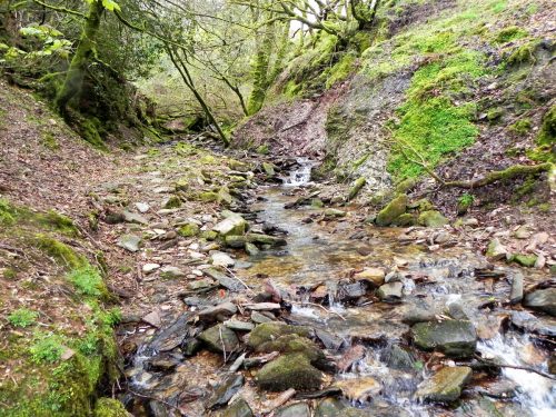 29.-Upstream-from-Higher-Holworthy-2