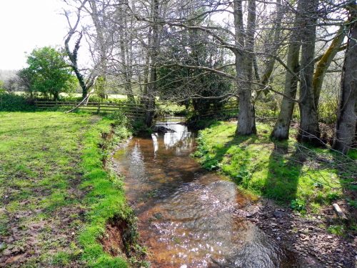 29.-Upstream-from-Holnicote-House-Footbridge-2